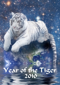 year-of-the-tiger